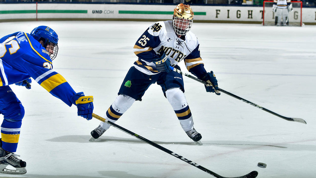 A Season in Photos: 2016-17 Notre Dame Hockey