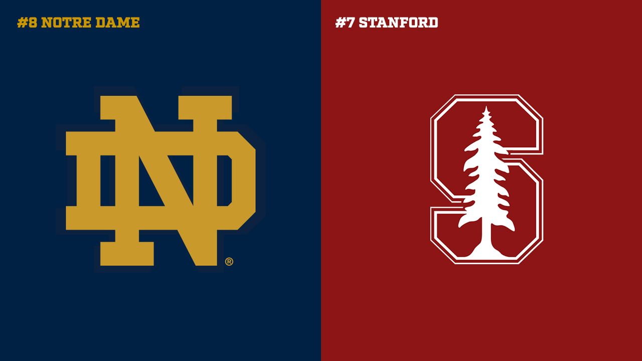 Stanford Preview Graphic
