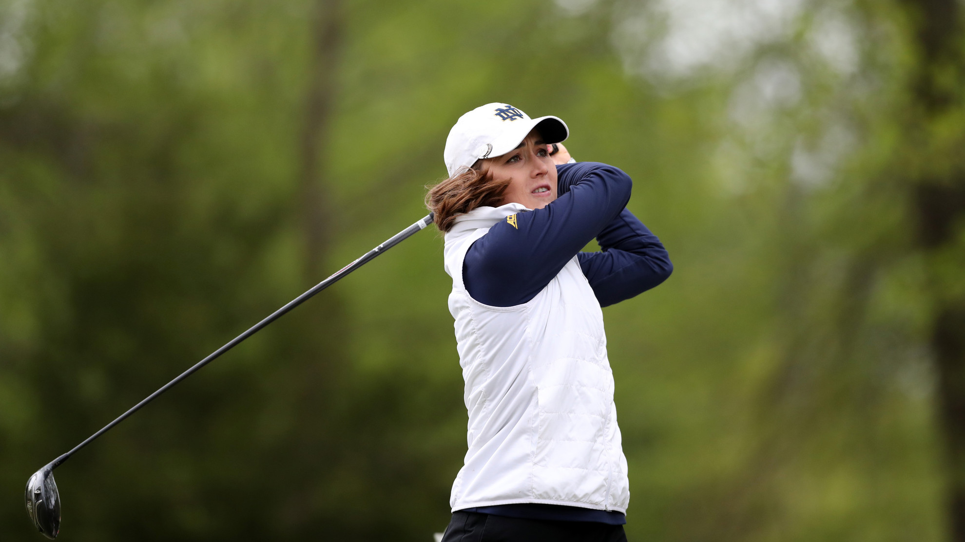 Albrecht Leads Irish At ACC Championship Albrecht Leads Irish At ACC Championship