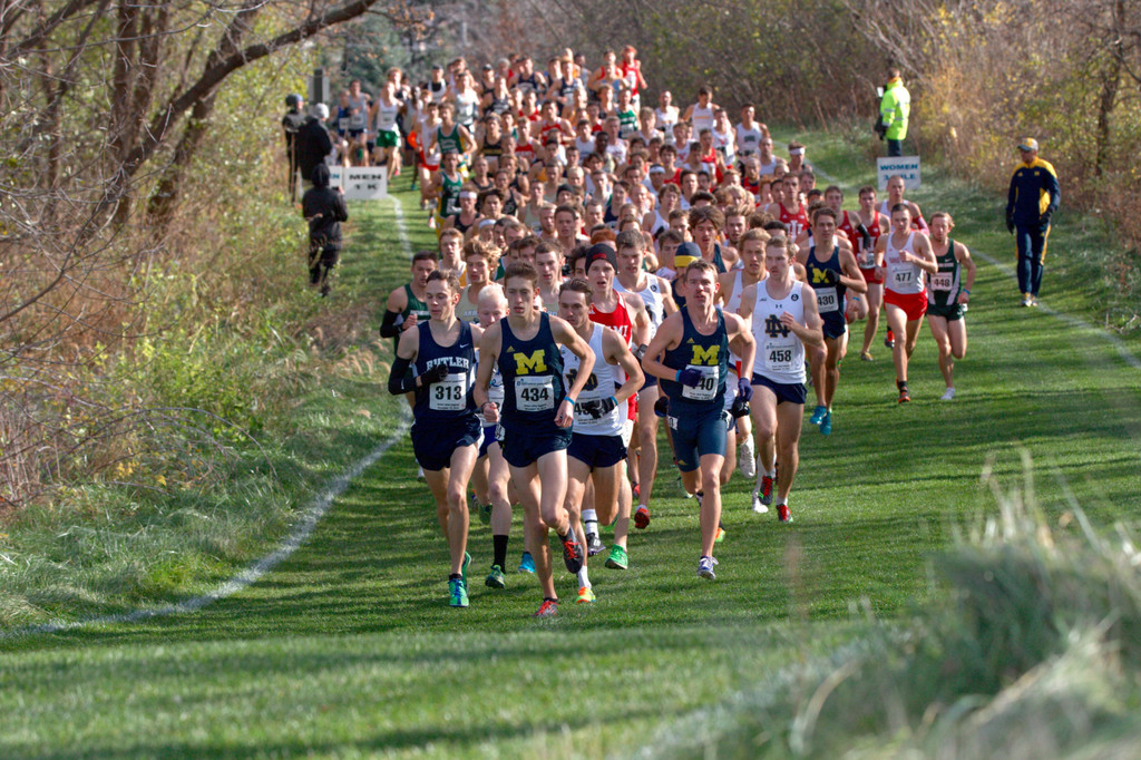 2015 NCAA Great Lakes Regional Championships