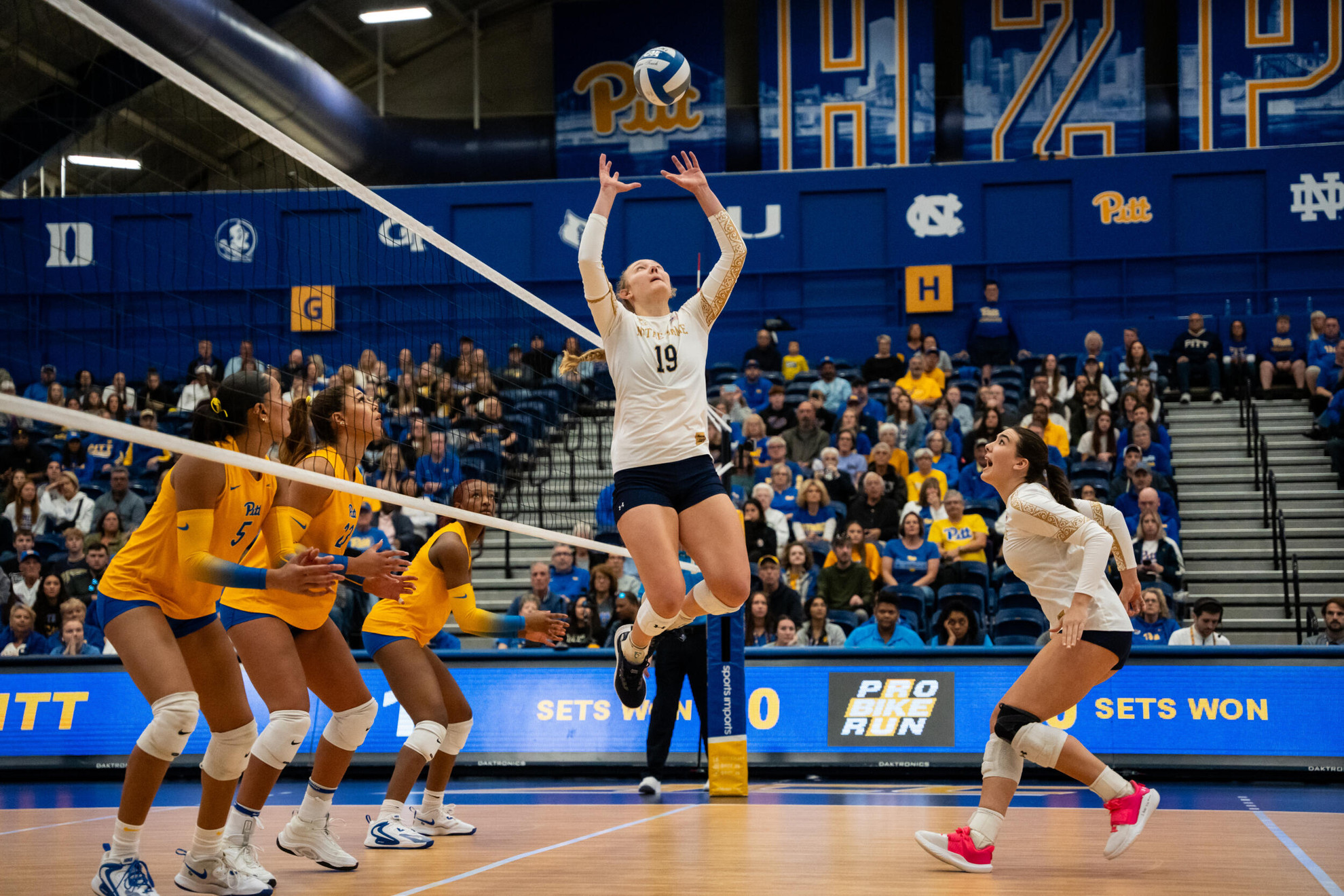 Irish Take #1 Pitt Panthers Into Four Sets Irish Take #1 Pitt Panthers Into Four Sets