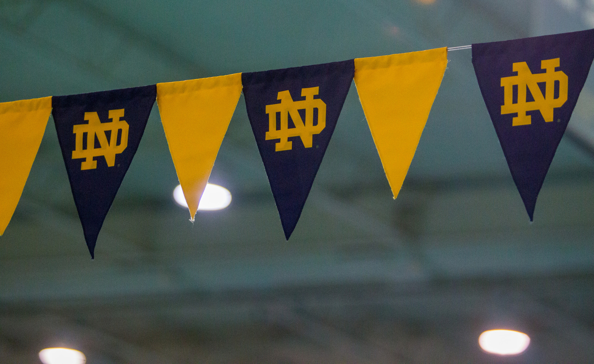 Irish Men’s Swimming Announces Signing Class Irish Men’s Swimming Announces Signing Class