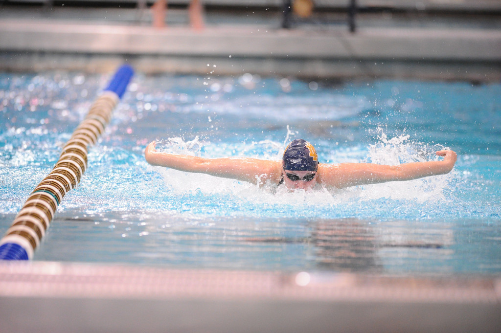 Shamrock Invitational - Jan. 31 - Feb. 1, 2014