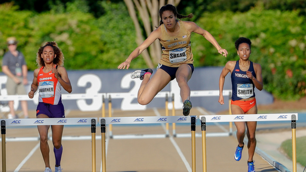 2017 ACC Outdoor Championships