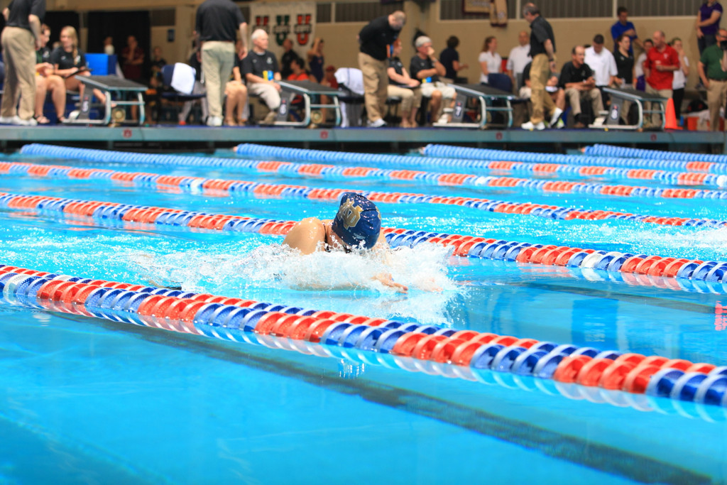 2012 NCAA Women's Swimming and Diving Championships