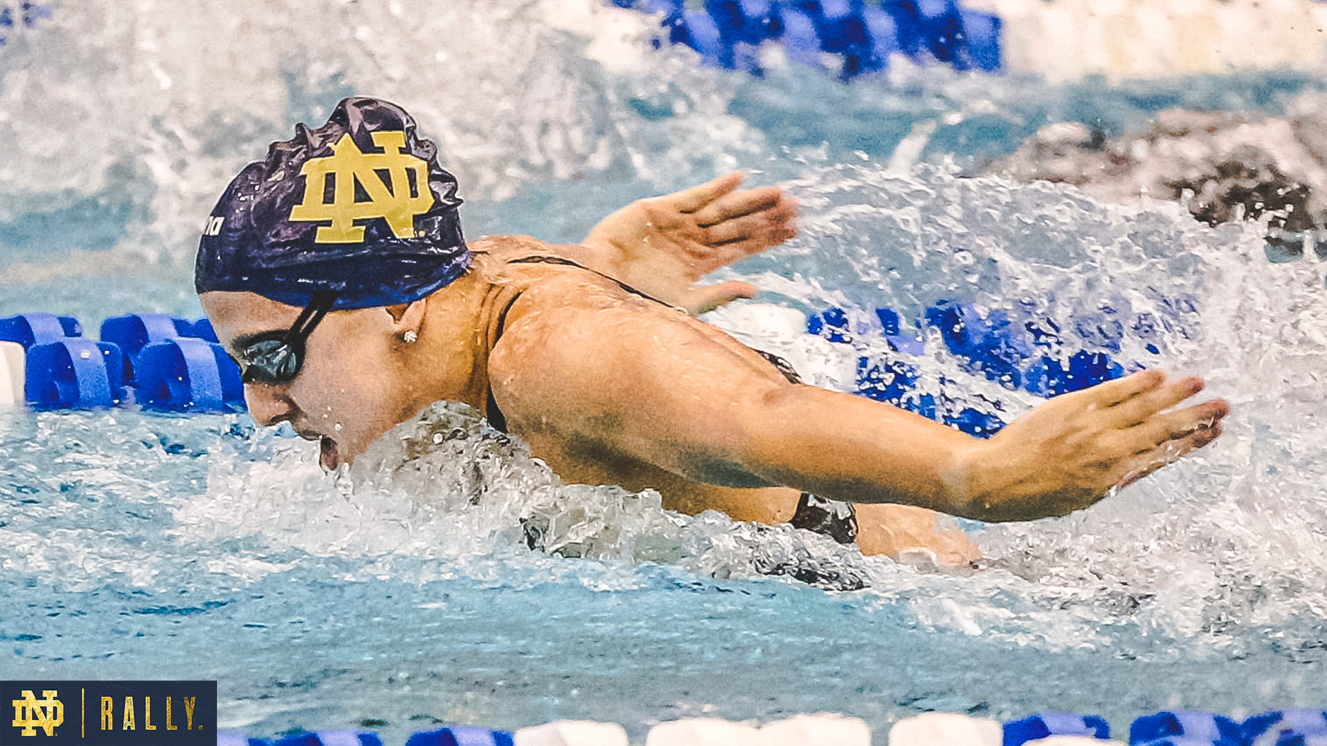No. 21/RV Irish To Host Shamrock Invitational No. 21/RV Irish To Host Shamrock Invitational