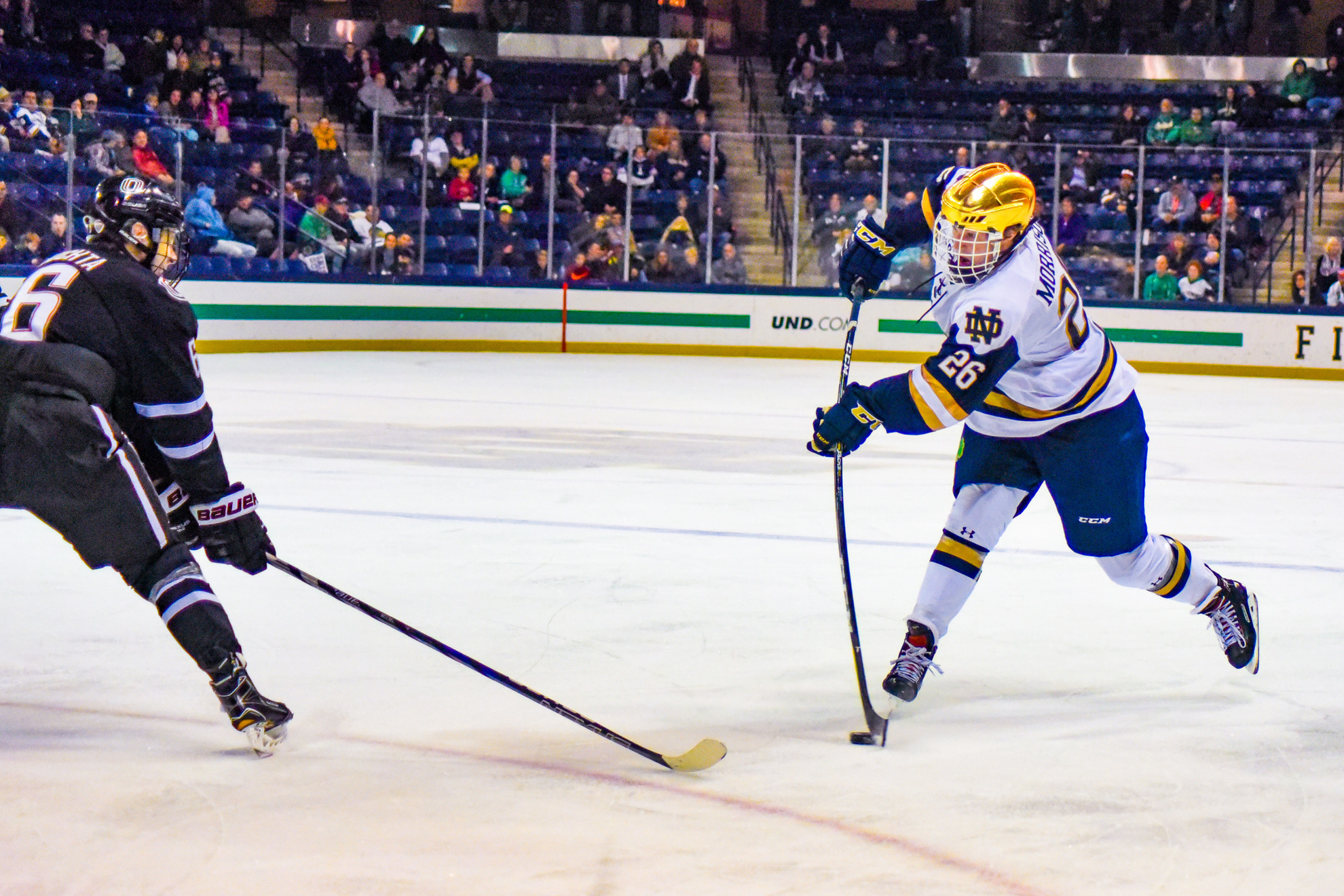 No. 1 Irish Split Weekend Series With No. 6 Ohio State No. 1 Irish Split Weekend Series With No. 6 Ohio State
