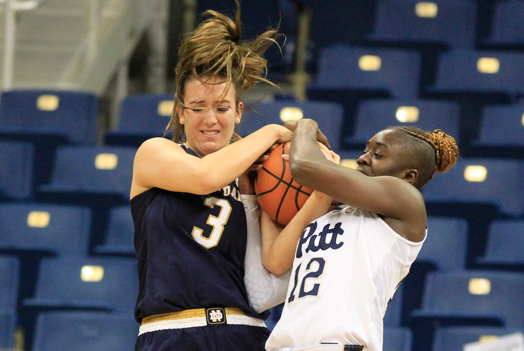 Notre Dame vs. Pittsburgh (USATSI)