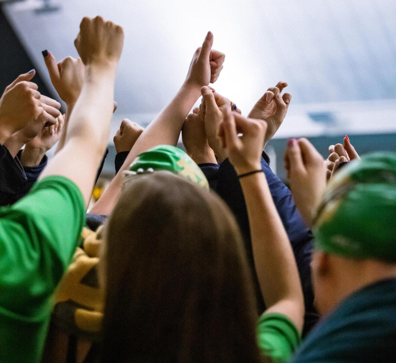 Notre Dame Fighting Irish - Official Athletics Website