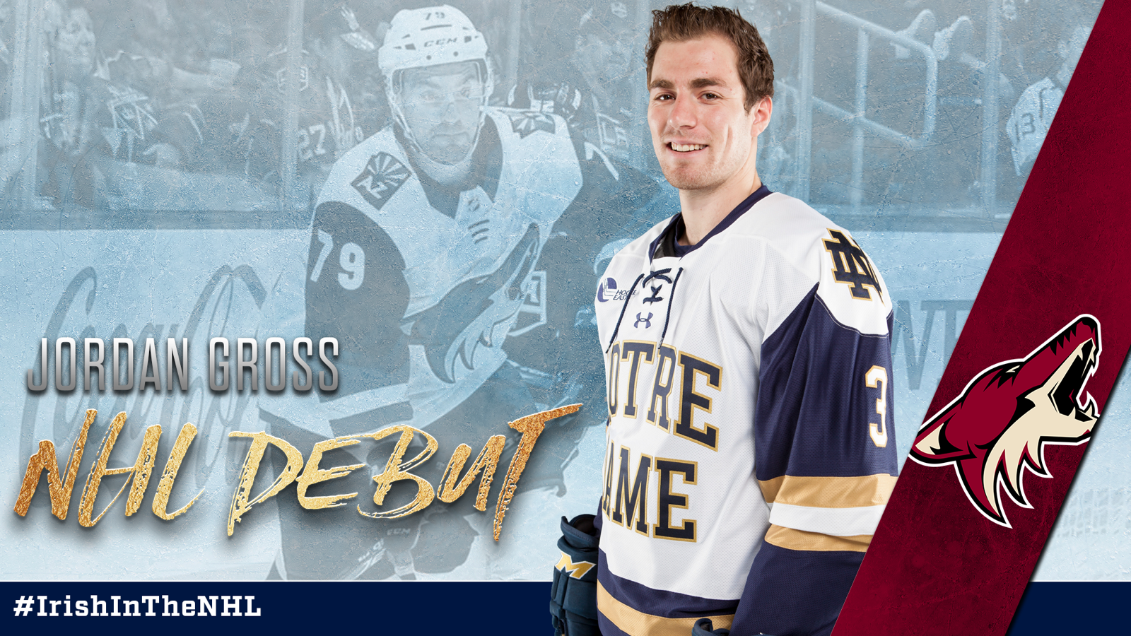 Gross To Make NHL Debut For Arizona Gross To Make NHL Debut For Arizona
