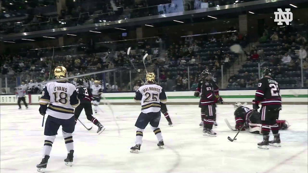 Hockey vs Northeastern Game 1 Highlights
