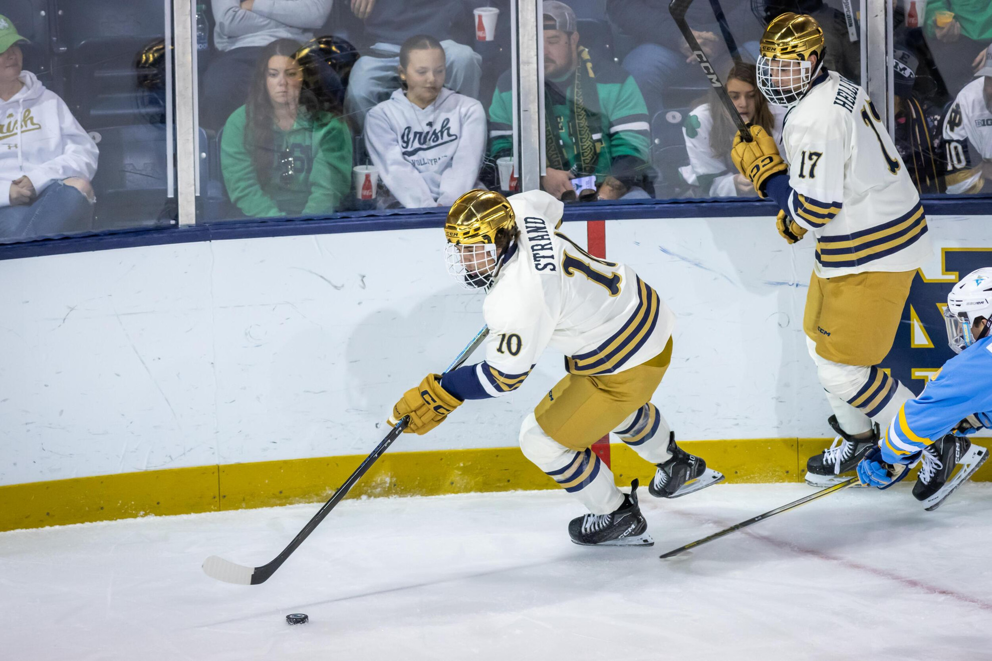 Irish Duo Sign Deals With Kalamazoo Wings Irish Duo Sign Deals With Kalamazoo Wings