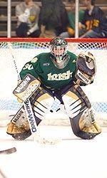Irish goaltender David Brown has been selected as the RBI Financial Group CCHA player of the month for February.