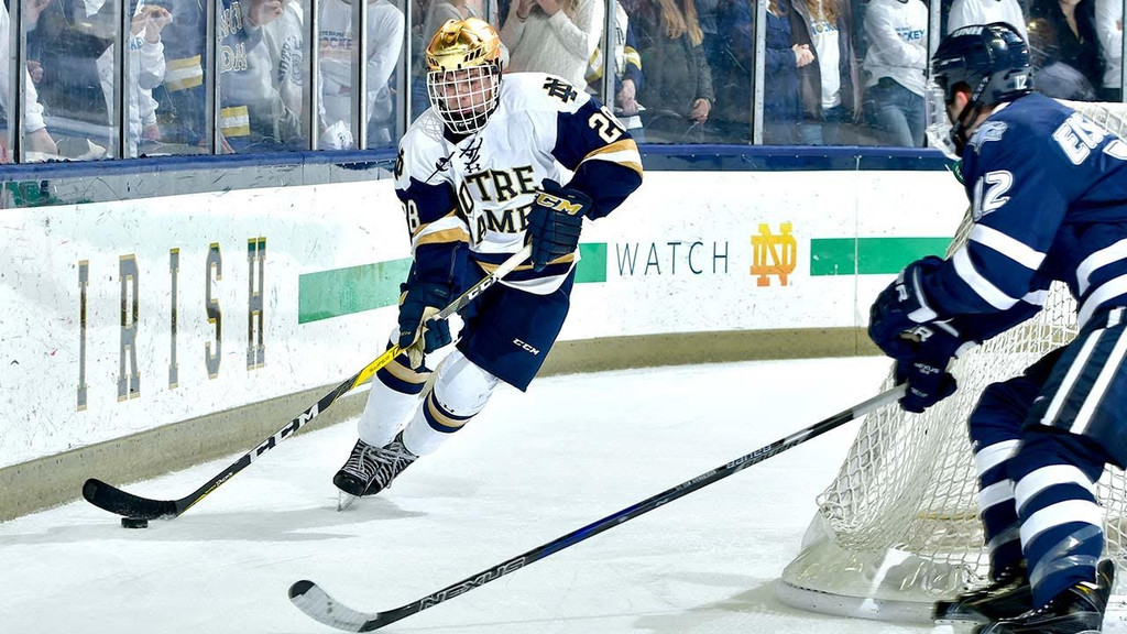 A Season in Photos: 2016-17 Notre Dame Hockey
