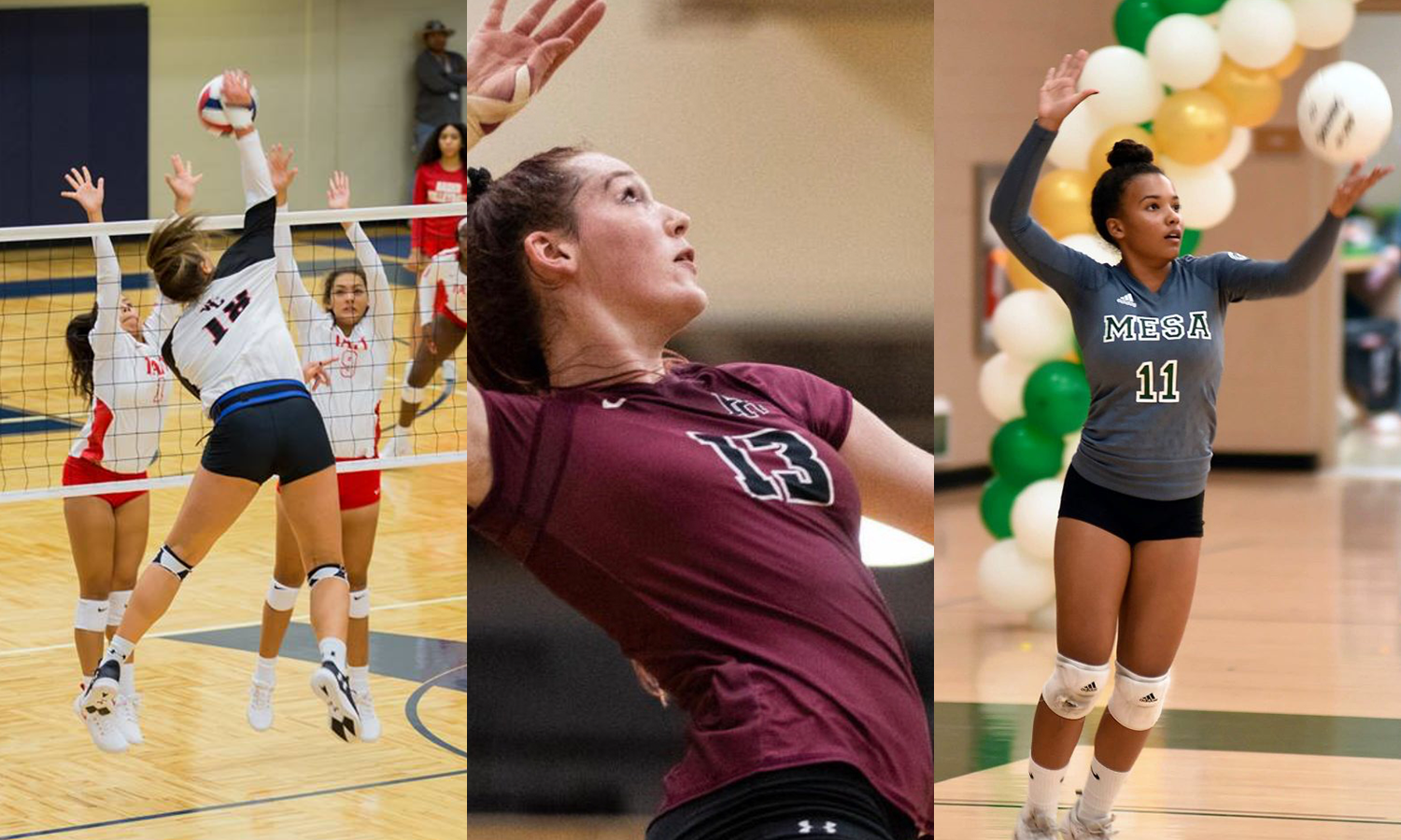 Irish Volleyball Signs Three During Early Signing Period 2018 SD