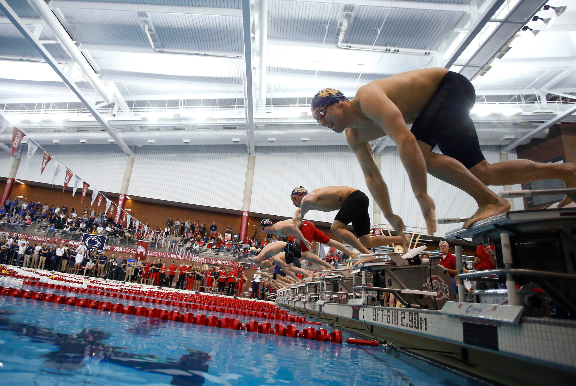 Brinkman Joins Irish Swimming Coaching Staff Brinkman Joins Irish Swimming Coaching Staff