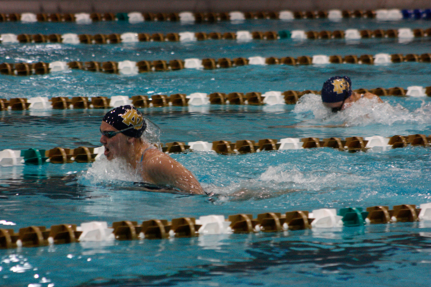 Samantha Maxwell Shatters Record To Become Nation’s Fastest In 100 Breast Samantha Maxwell currently holds the nation's fasest mark this season in the 100 breast.