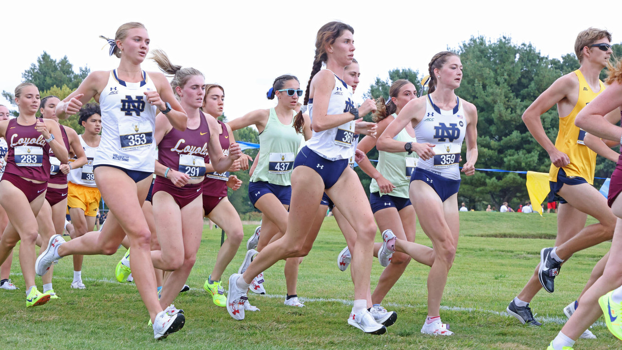 Several runners compete in a race