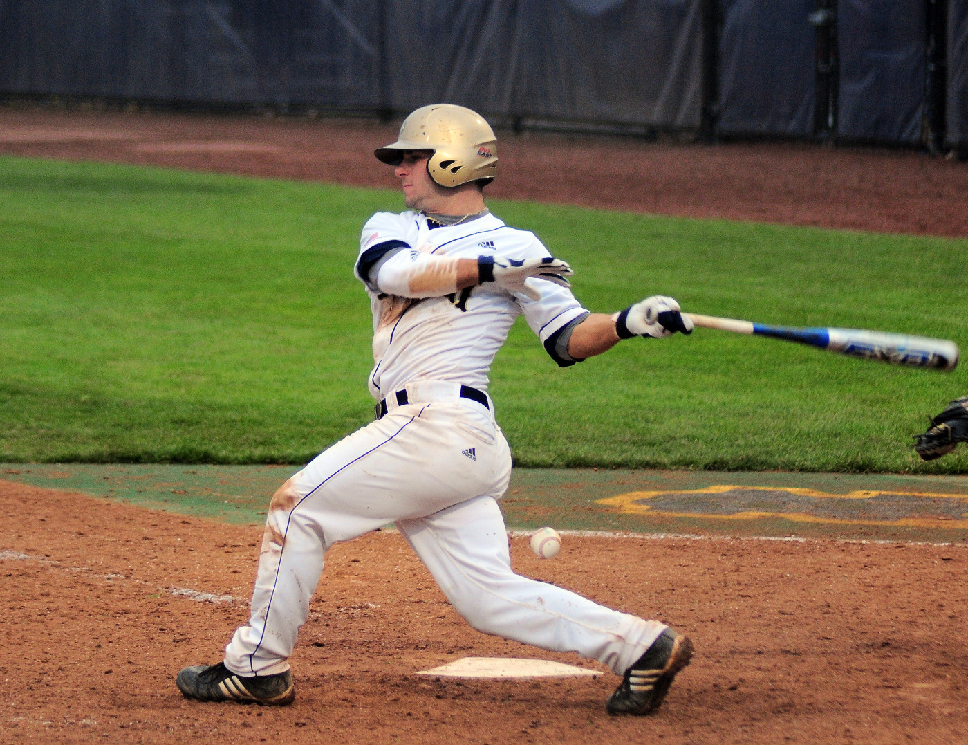 Seattle Sweeps Irish Baseball Frank DeSico