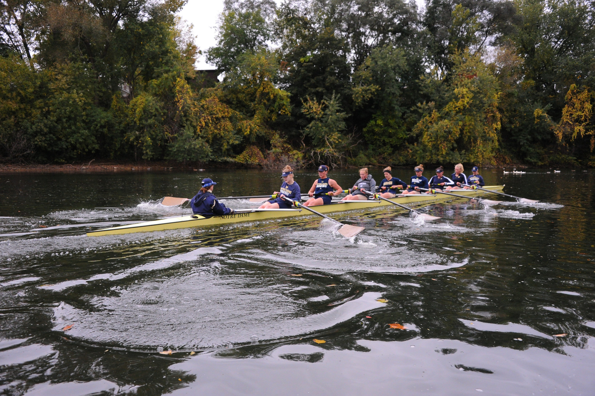 Rowing Recap: Irish After Oak Ridge Notre Dame will compete for the first time in the ACC/Big Ten Challenge on Saturday