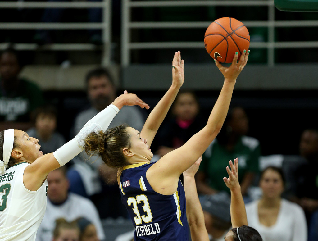 Notre Dame vs. Michigan State (USATSI Gallery)