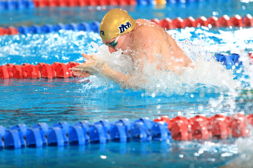 Men's NCAA Swimming Championship