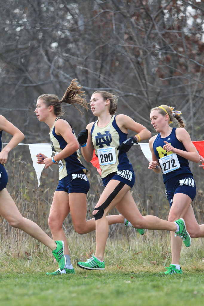 2012 NCAA Great Lakes Regional