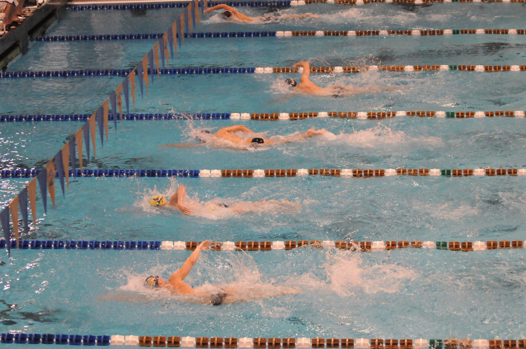2007-08 Men's Swimming and Diving