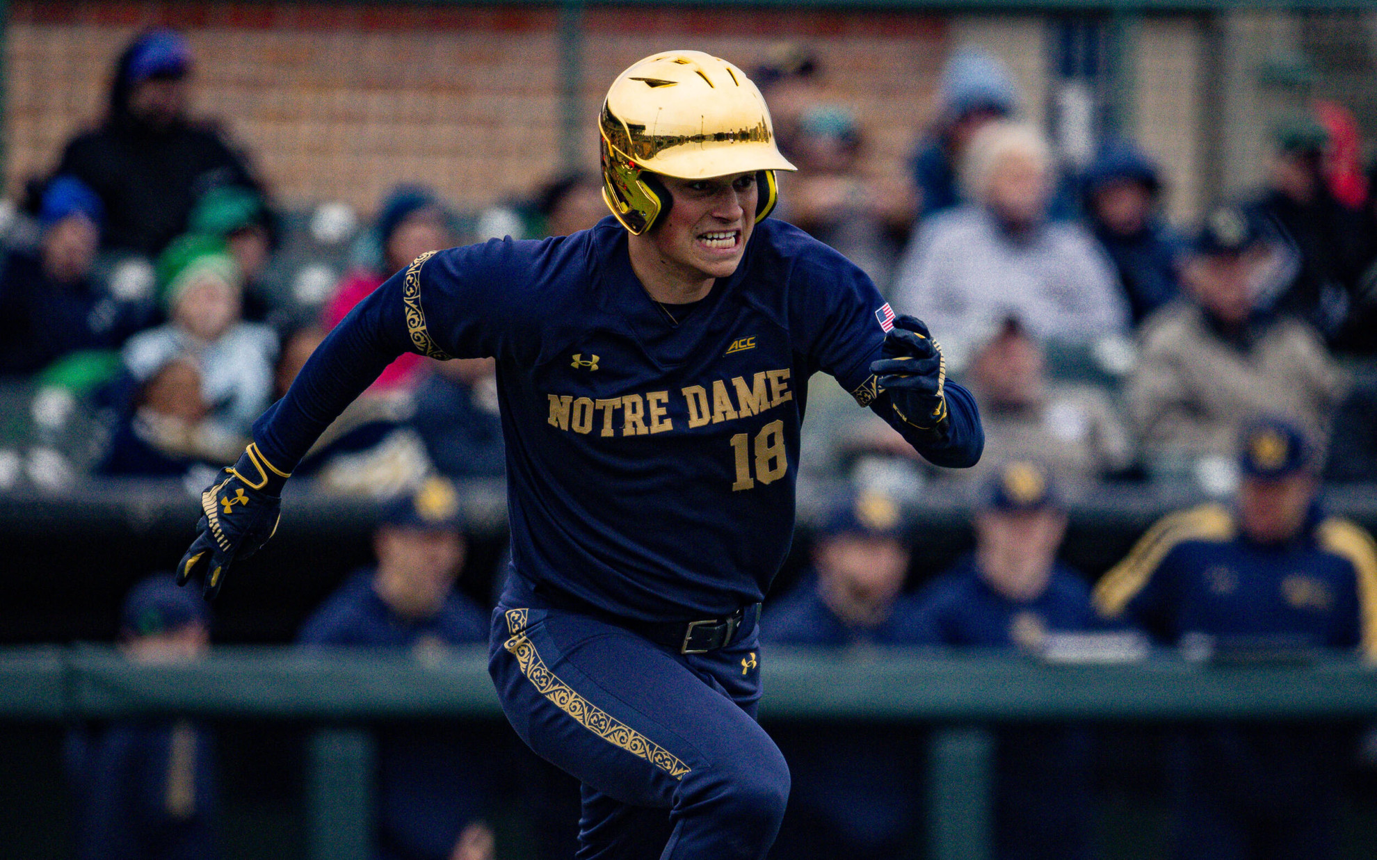 Notre Dame Baseball Heads to FIU For Four-Game Series 2024 University of Notre Dame NCAA Baseball