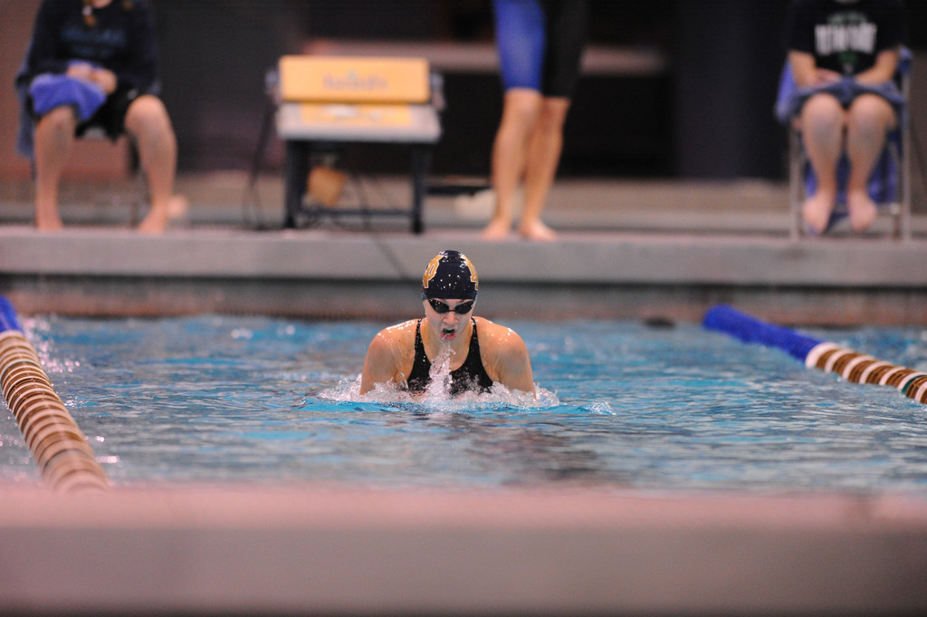 Shamrock Invitational - Jan. 31 - Feb. 1, 2014