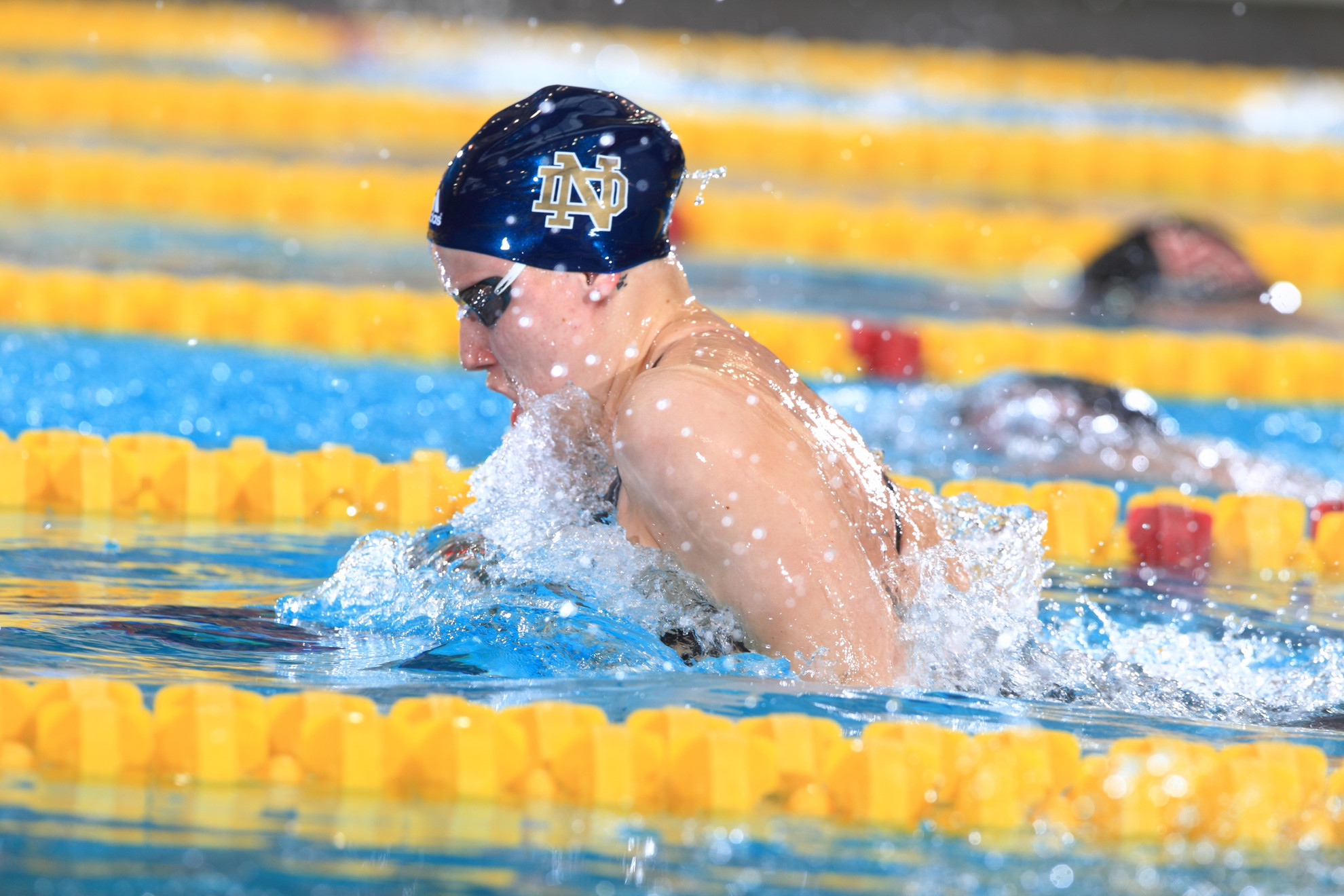 A Look Back At Emma Reaney’s Remarkable 2013-14 Season Emma Reaney's fantastic 2013-14 season saw her produce program firsts both in and out of the pool.