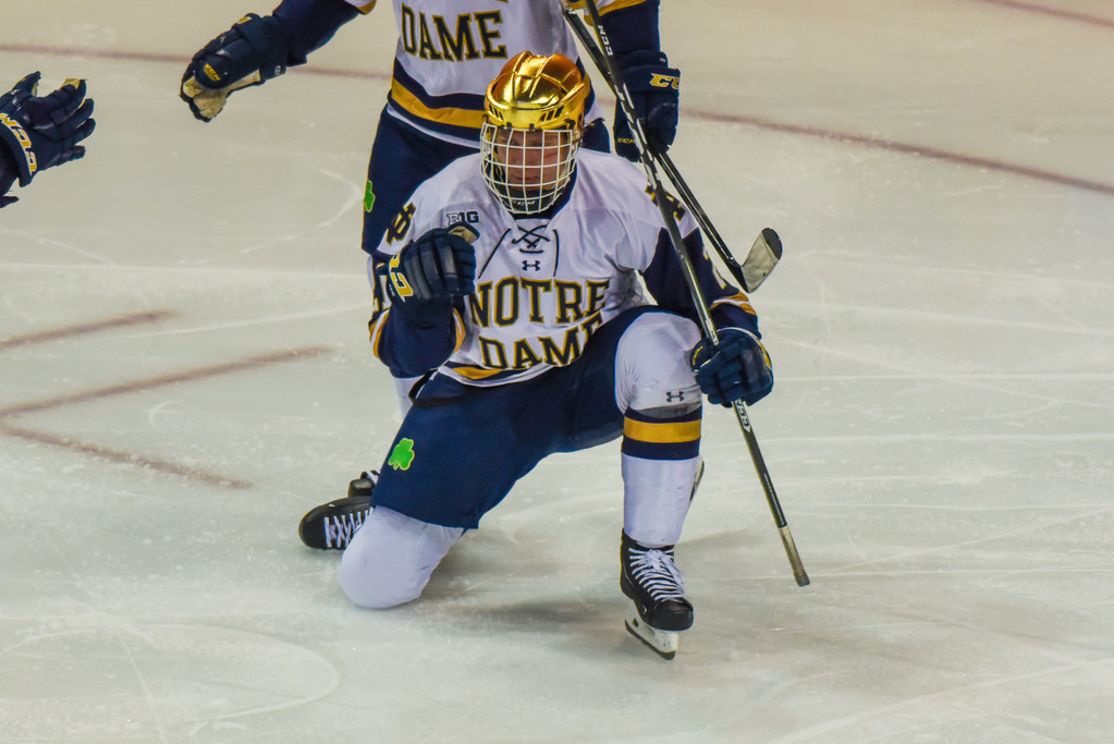 No. 1 Notre Dame Hockey vs. Michigan, Game 3