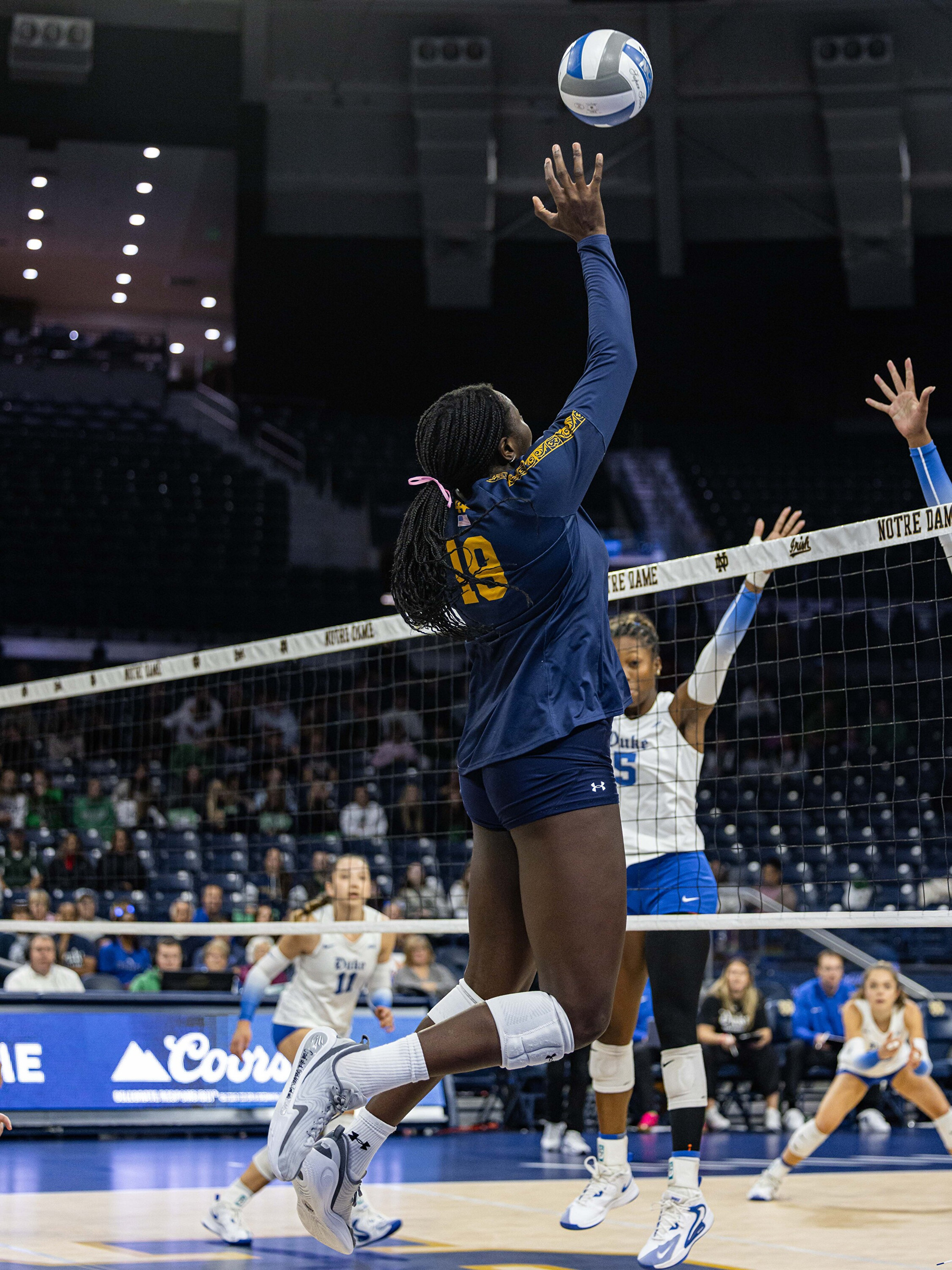 Irish Drop Five Setter To Duke Irish Drop Five Setter To Duke