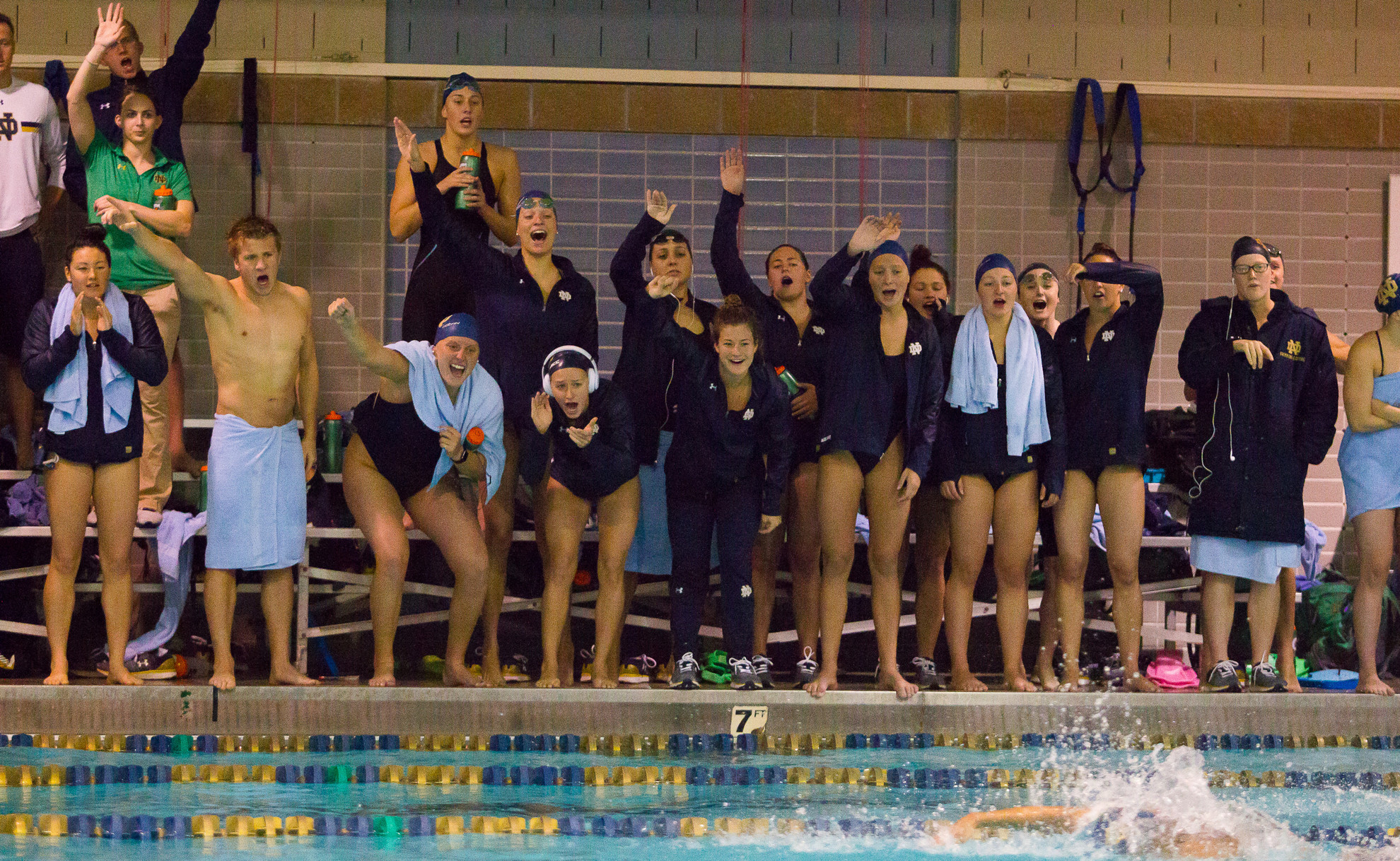Irish Swimming And Diving Earns CSCAA Scholar All-America Honors Irish Swimming And Diving Earns CSCAA Scholar All-America Honors