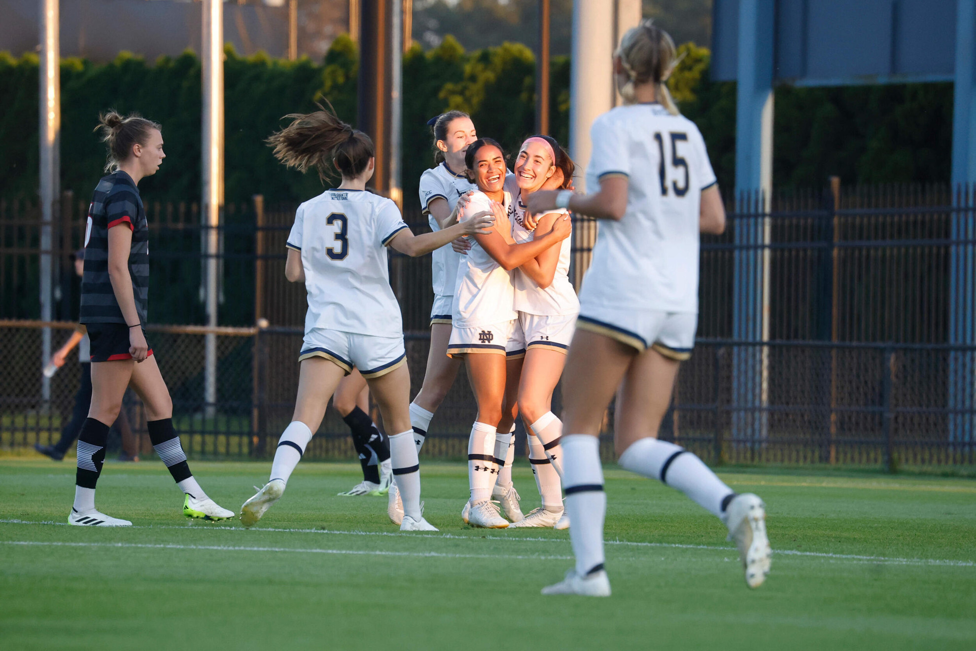 #10 Irish Clip Cards, 3-0 #10 Irish Clip Cards, 3-0